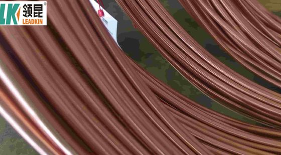 LEADKIN Mineral Insulated Copper Cable For R B S Type Thermocouple